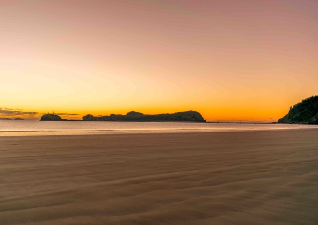 Kangaroo beach Australia